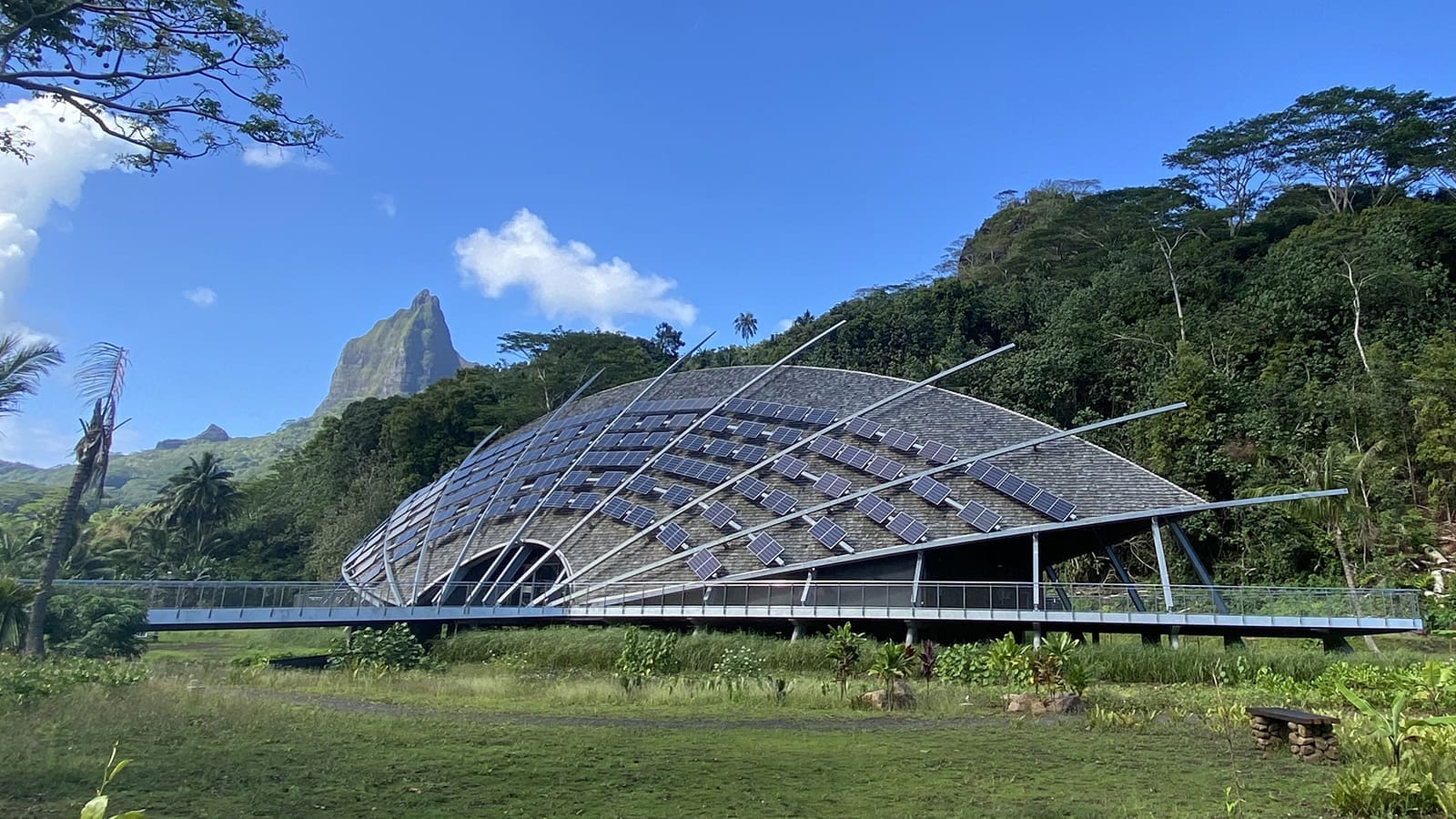 TE FARE NATURA ECO-MUSEUM #1