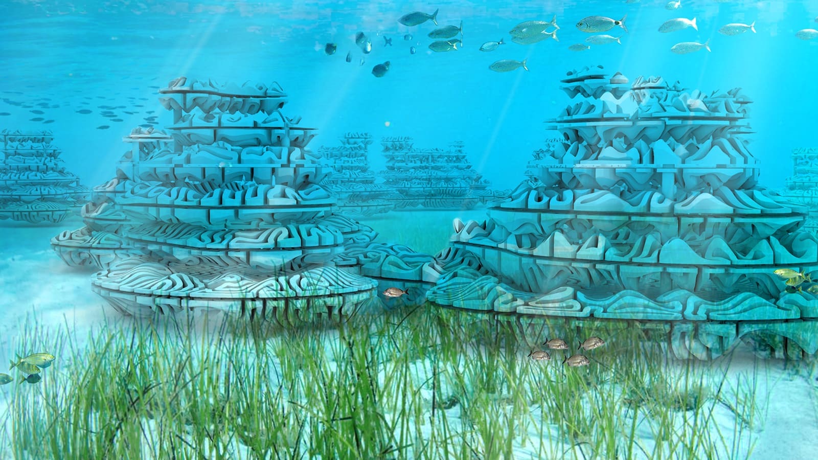 REMORA REEF #4