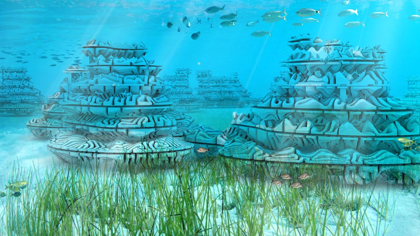 REMORA REEF #4