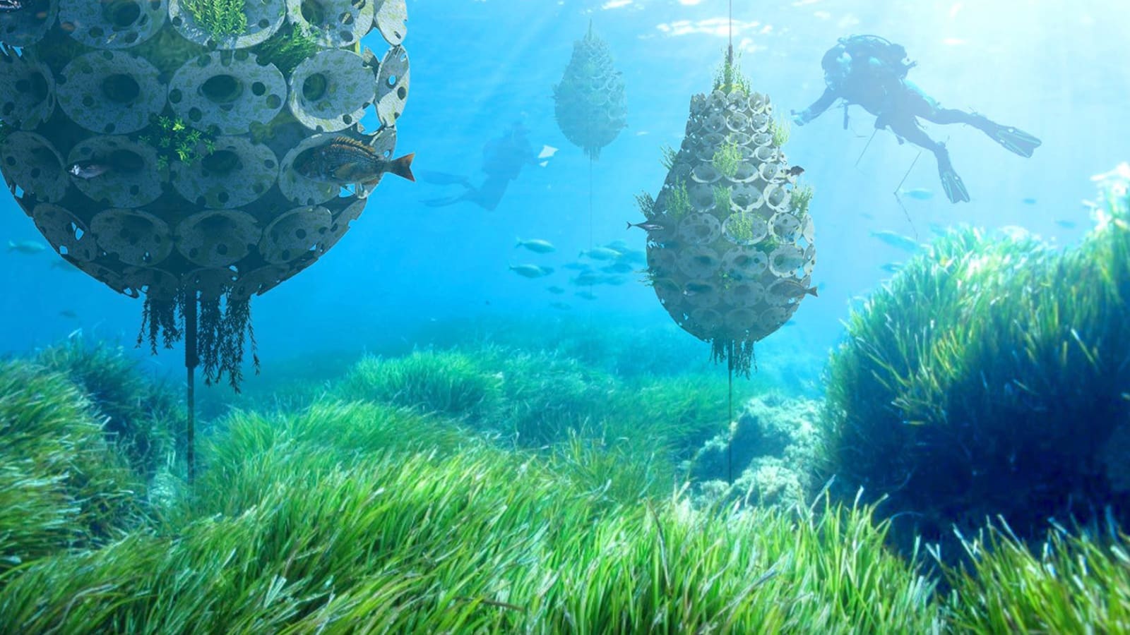FLOATING REEF #2