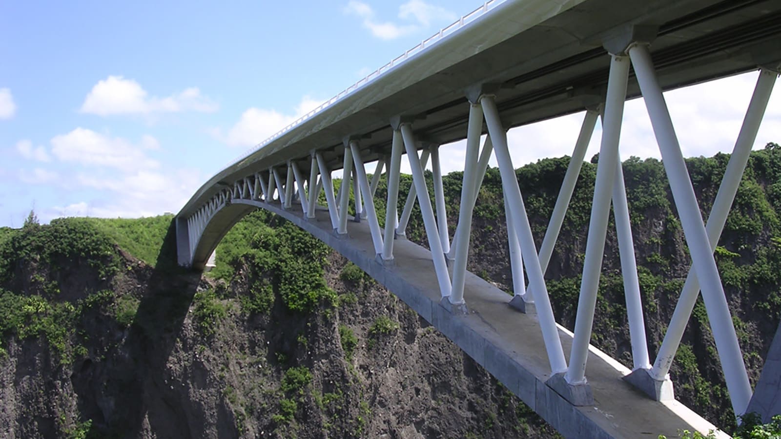 PONT SUR LE BRAS DE LA PLAINE #4