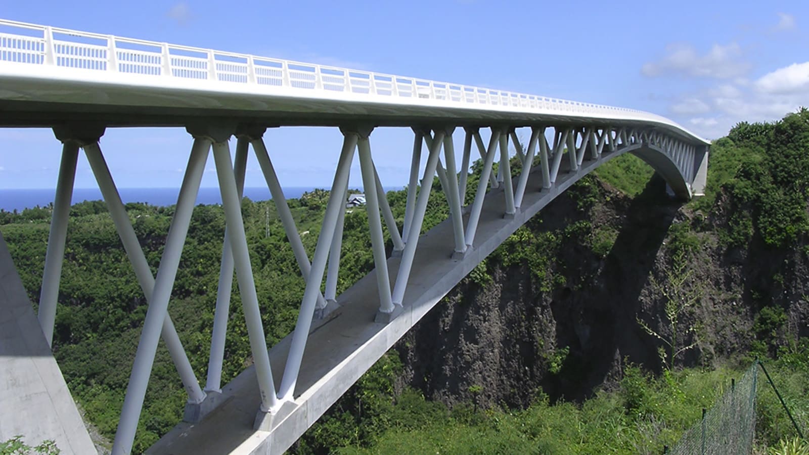 PONT SUR LE BRAS DE LA PLAINE #5