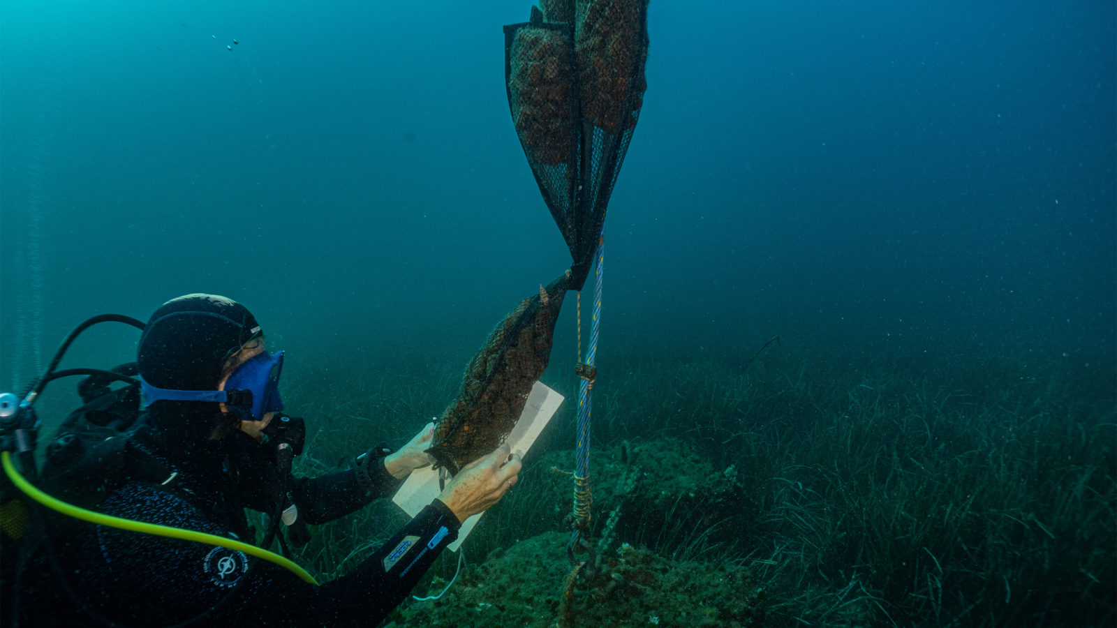 FLOATING REEF #4